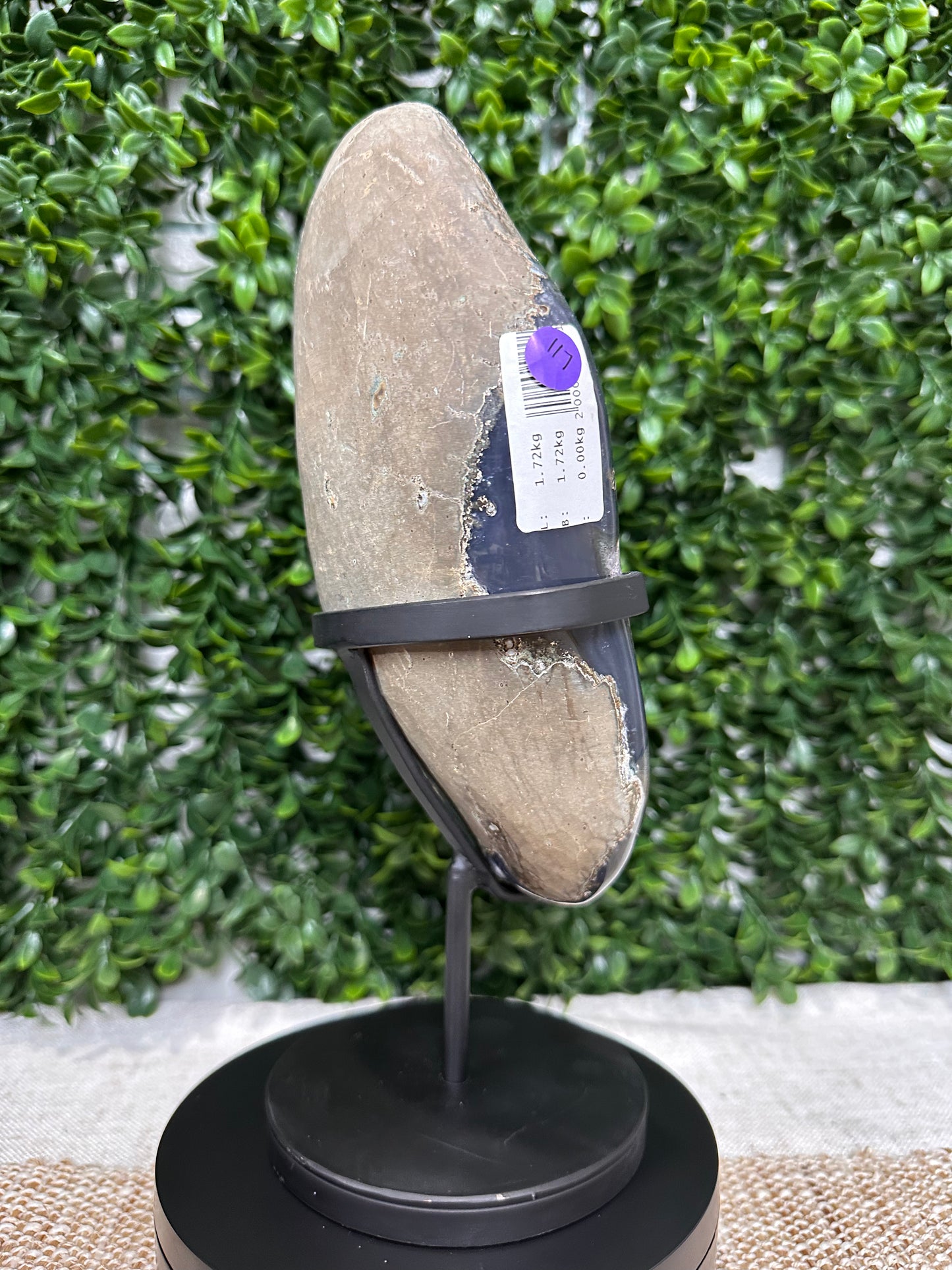 Druzy Amethyst Statement Piece W/Stand (2)