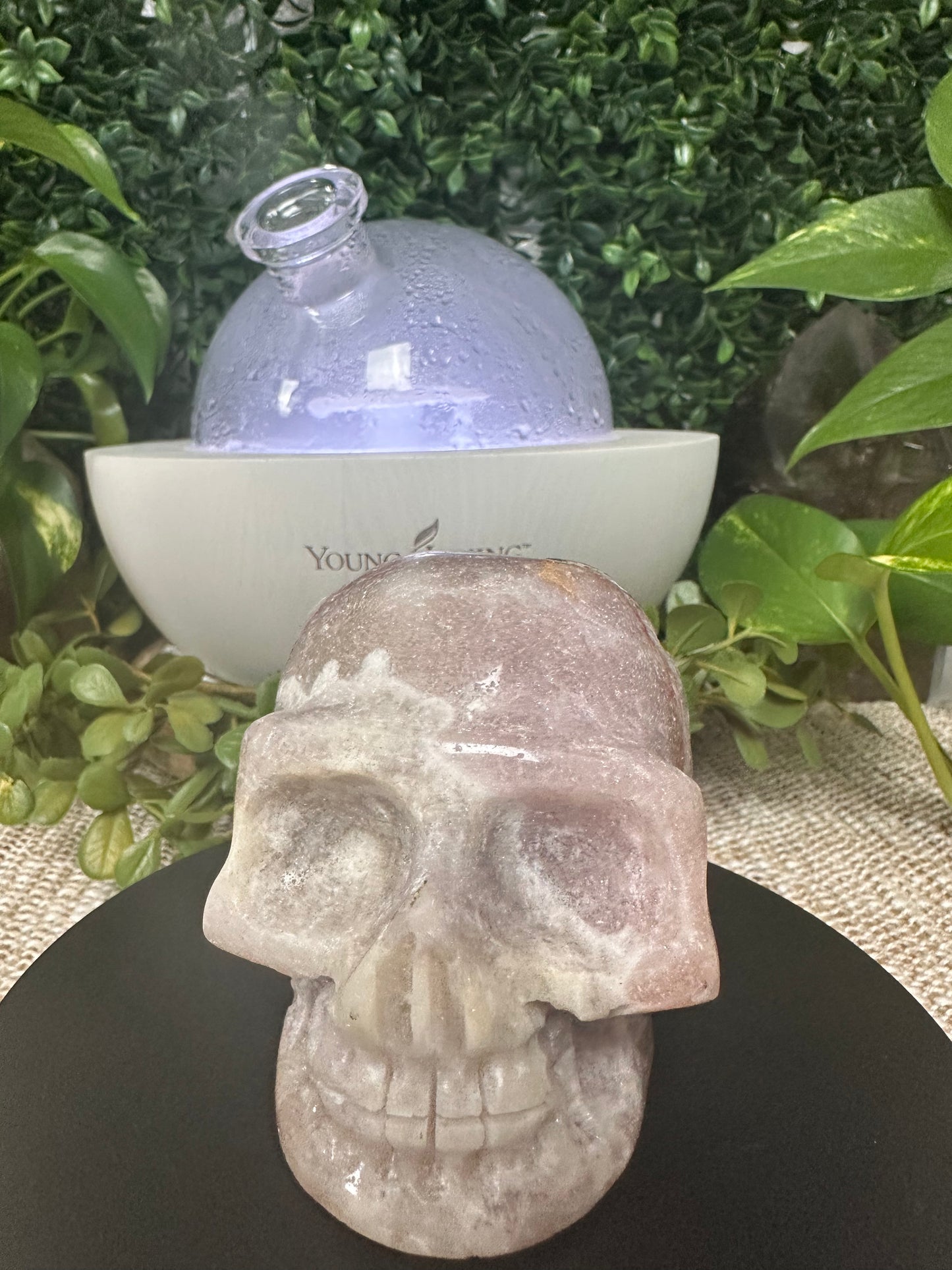 Druzy Pink Amethyst Skull Carving (14)